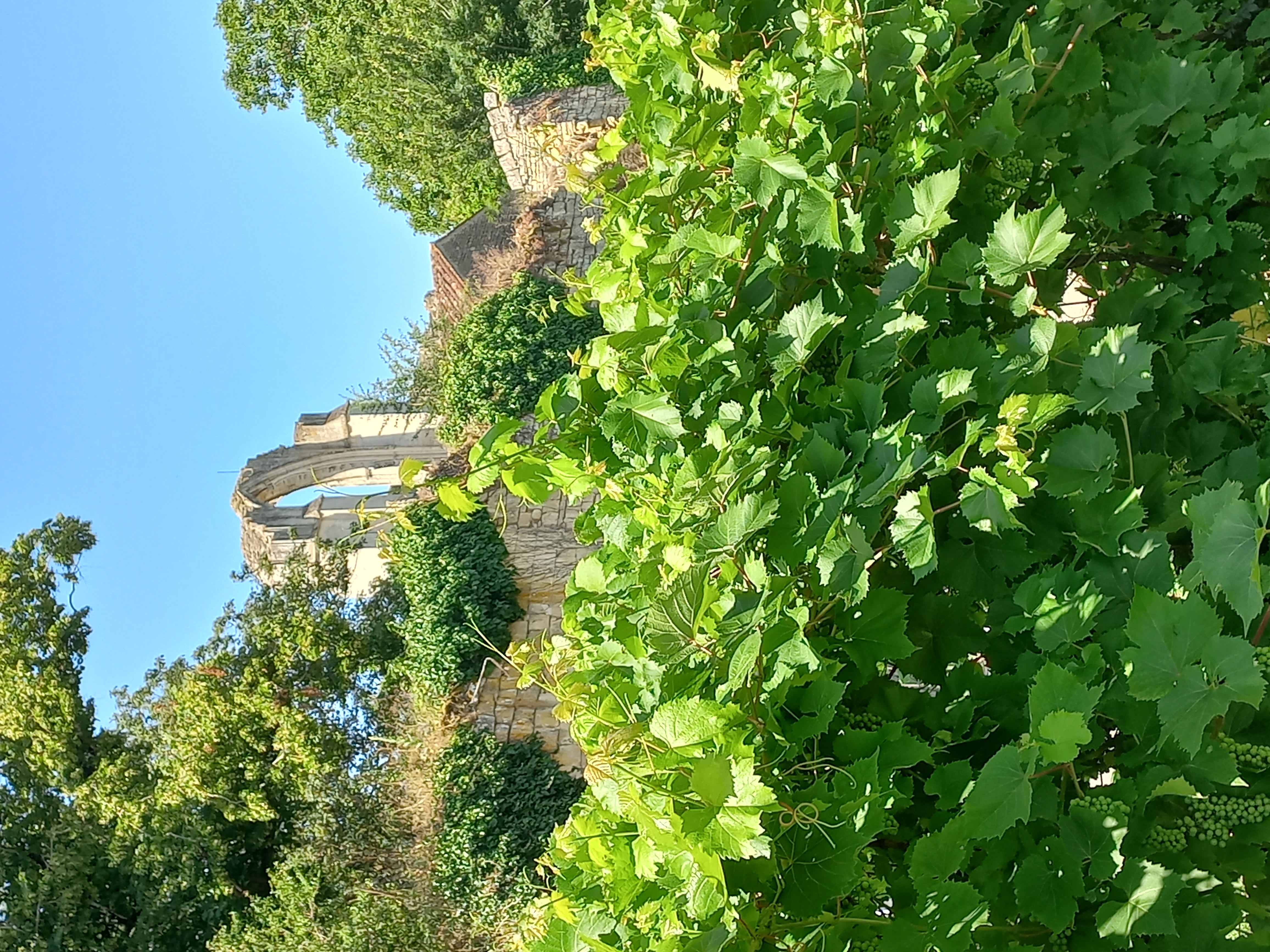 L'Arlésienne O'Marais