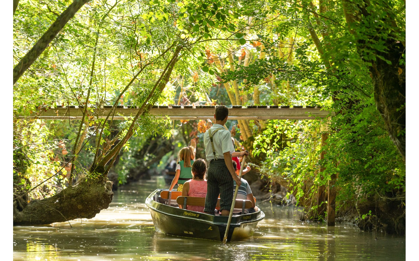 Le marais poitevin